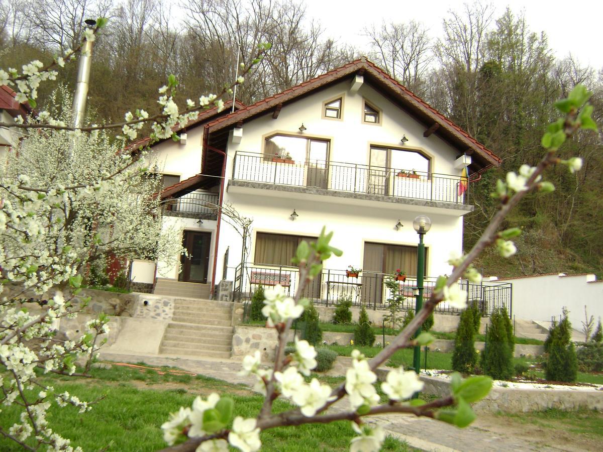 Pension Casa Natura Băile Herculane Exterior foto