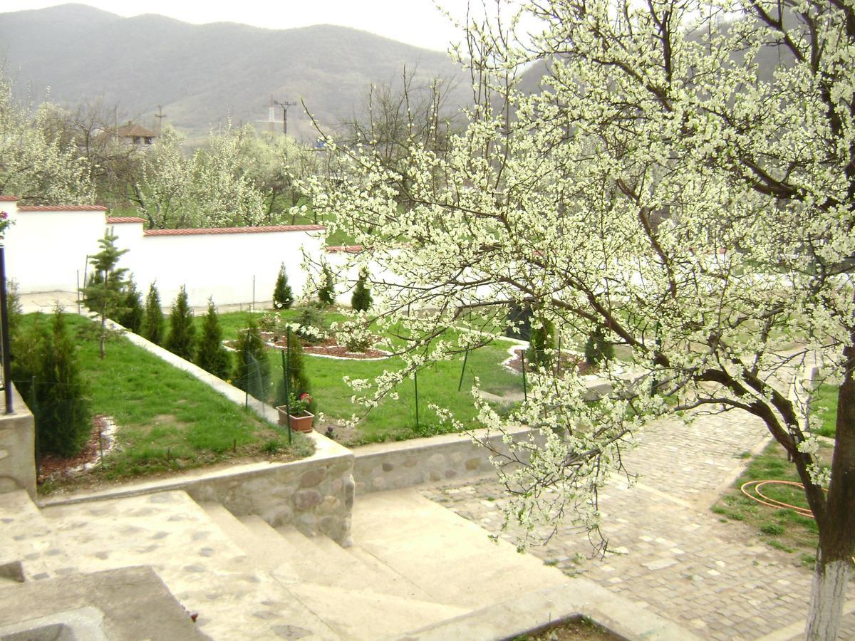 Pension Casa Natura Băile Herculane Exterior foto