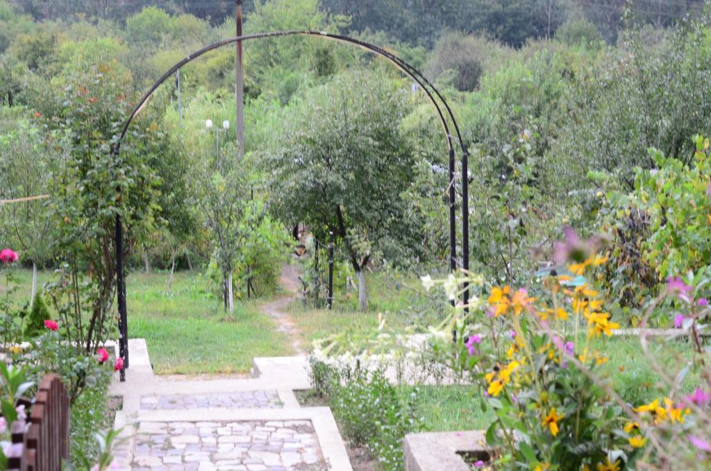 Pension Casa Natura Băile Herculane Exterior foto